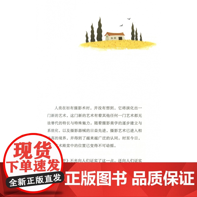 少年的凝视 暑假读一本好书 曹著 三四五六年级课外阅读故事书 6-9-12岁小学生课外阅读 正版 书籍高清大图