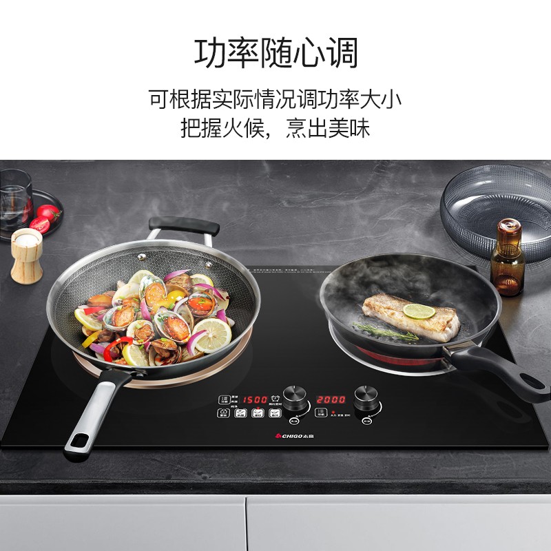 志高(CHIGO) 嵌入式电磁炉电陶炉双灶头炉灶电磁炉家用一凹一平NL2508 一电一陶(2508)高清大图