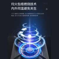 华帝(vatti)5.2KW火力燃气灶天然气双眼灶具厨房家用台嵌式可调节离子熄火保护JZT-i10075B