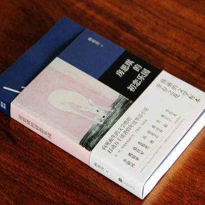 房思琪的初恋乐园原版简体中文无删减台湾作家林奕含的书