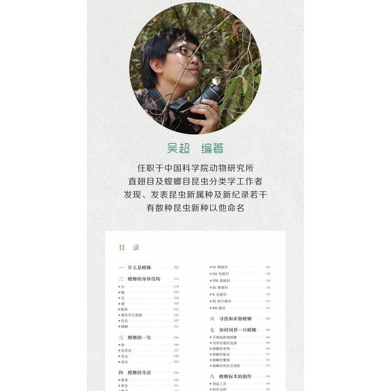 粉象优品螳螂的自然史吴超海峡书局自然科普昆虫标本rlyl昆虫图鉴大