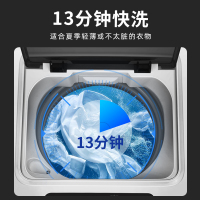 威力10公斤全自动波轮洗衣机 抗菌波轮 家用洗脱大容量 XQB100-10099