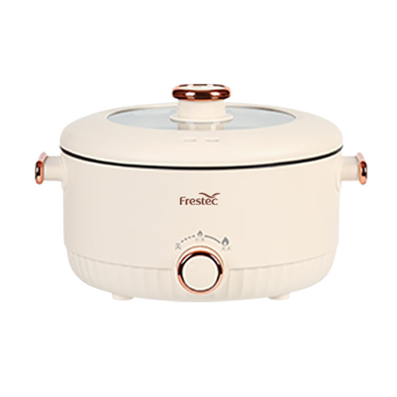 新飞(Frestec)电火锅大容量 6L多用途锅 FTZG-R157