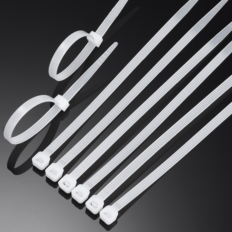 洛安斯 尼龙扎带 10*500/100条 袋高清大图