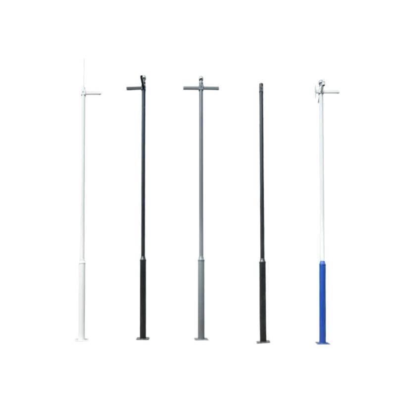 亮思能 LED路灯杆 立柱灯杆 带地笼 LSN-JMB 个图片