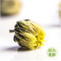 一级优良菊花茶 胎菊50g 优质桐乡杭白菊胎菊花草茶