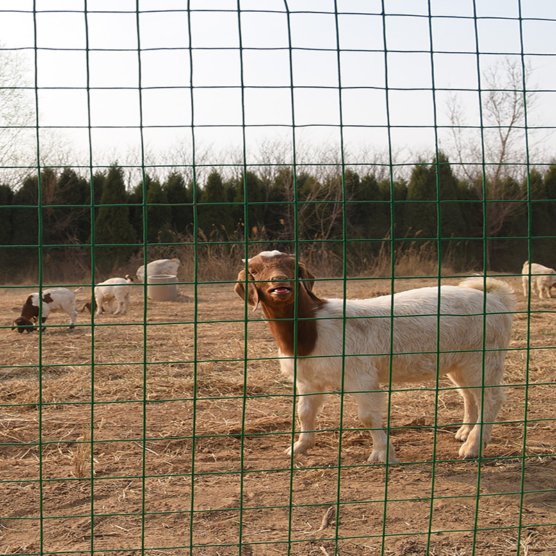 铁丝网围栏栅栏围栏护栏网养殖网古达防护网养鸡网钢丝隔离荷兰网户外