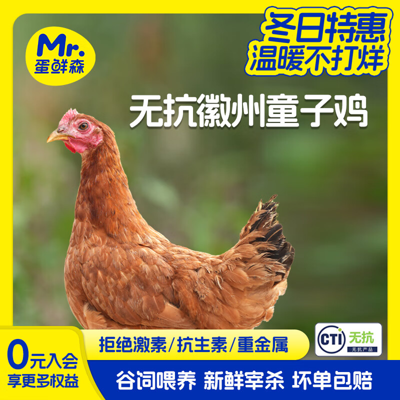 蛋鲜森徽州无抗童子鸡900g±50g/只清蒸白切活鸡现杀急冻保鲜整鸡净膛 2只装