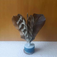 型壳 CENCO 毽子 花毽系列八羽花键 5个
