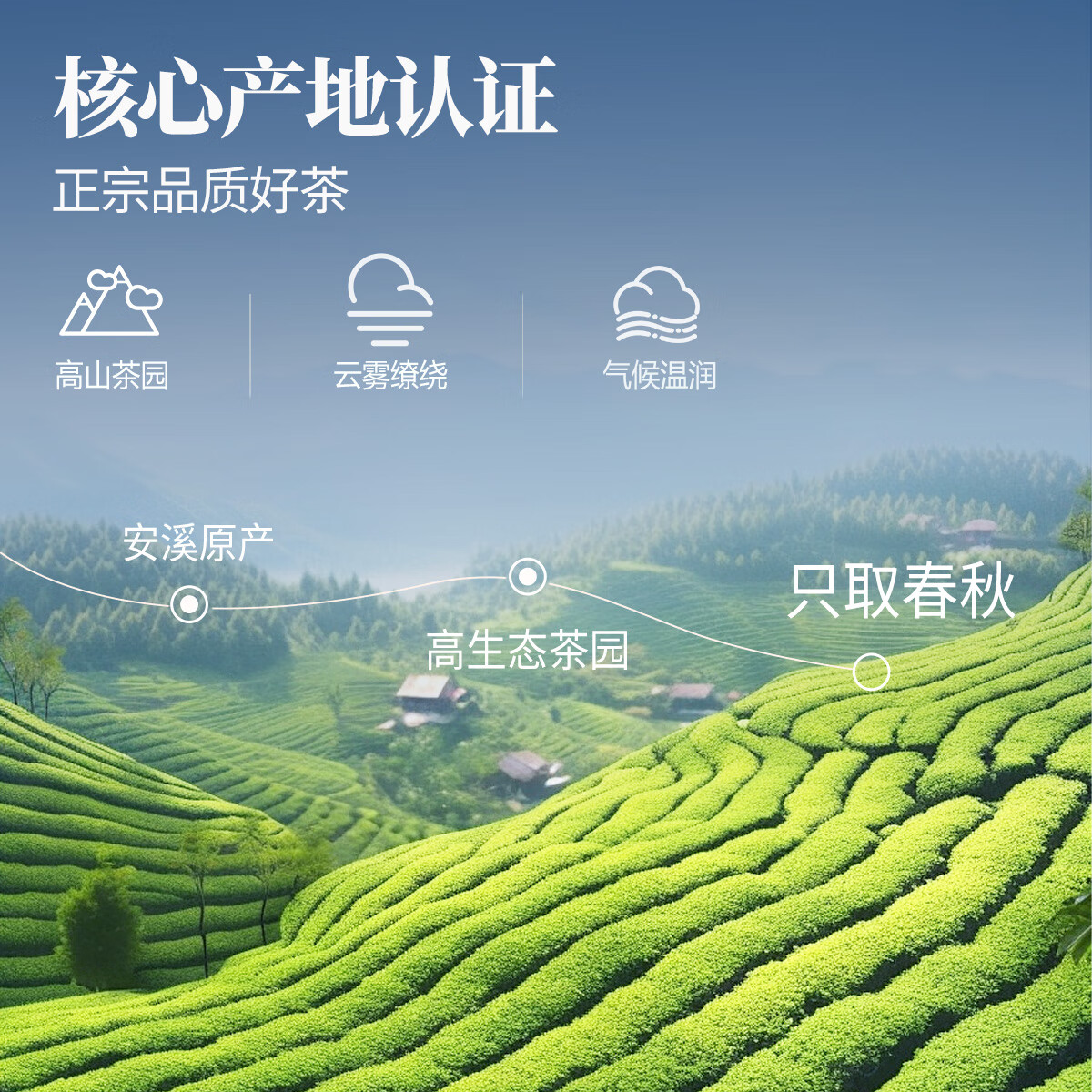 忆江南 茶叶礼盒送人乌龙茶送父母长辈的礼物[255g荷韵铁观音]高清大图