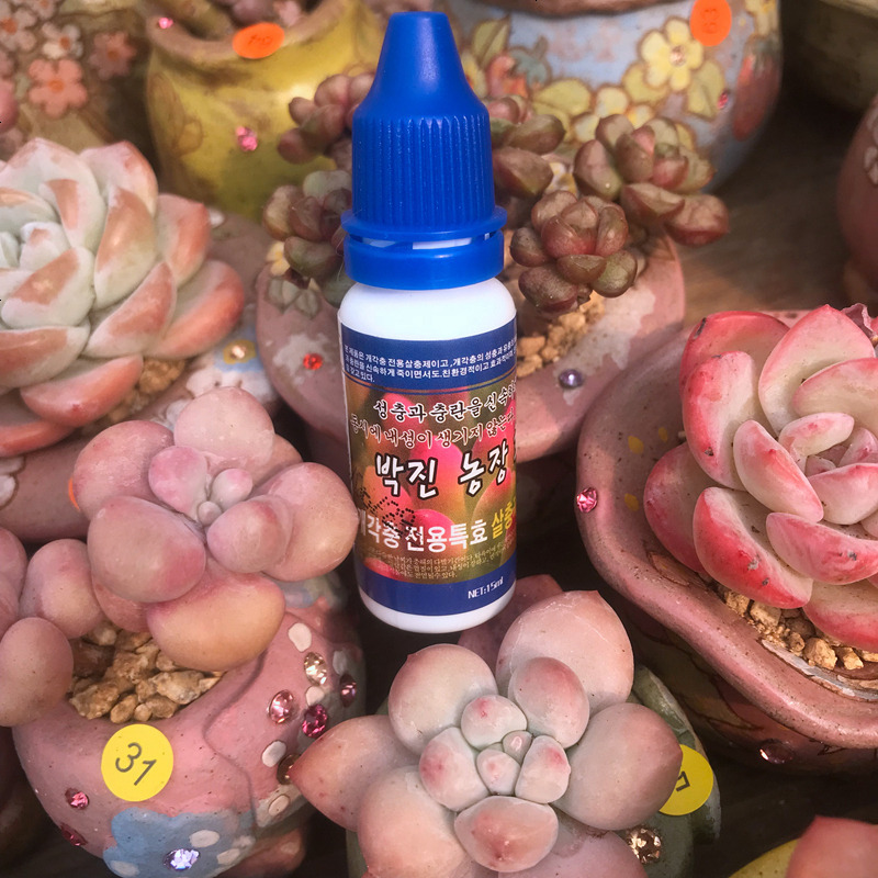 多肉煤烟病 修护营养剂 介壳虫蚧克虫黑腐黑斑专用植物介壳养护液