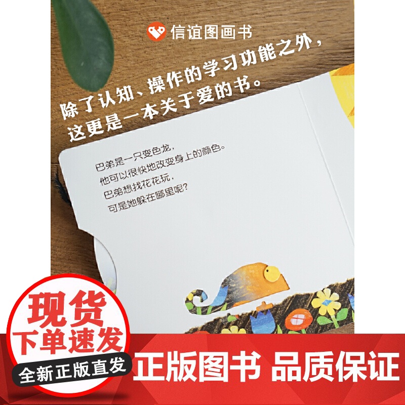 变色龙捉迷藏(0-3岁) 信谊宝宝起步走高清大图