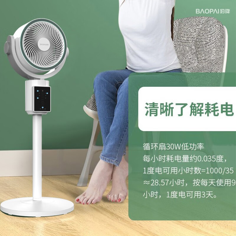 豹牌 3D立体智能空气循环扇 BP-XP221高清大图