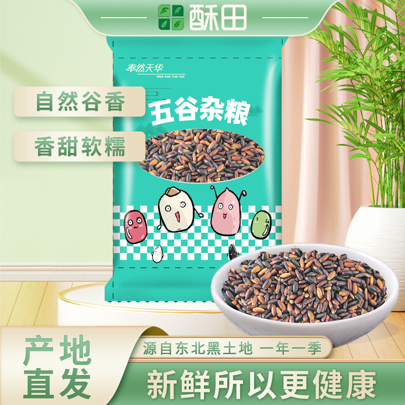 东北黑糯米 五谷杂粮血糯米新米 500g*2