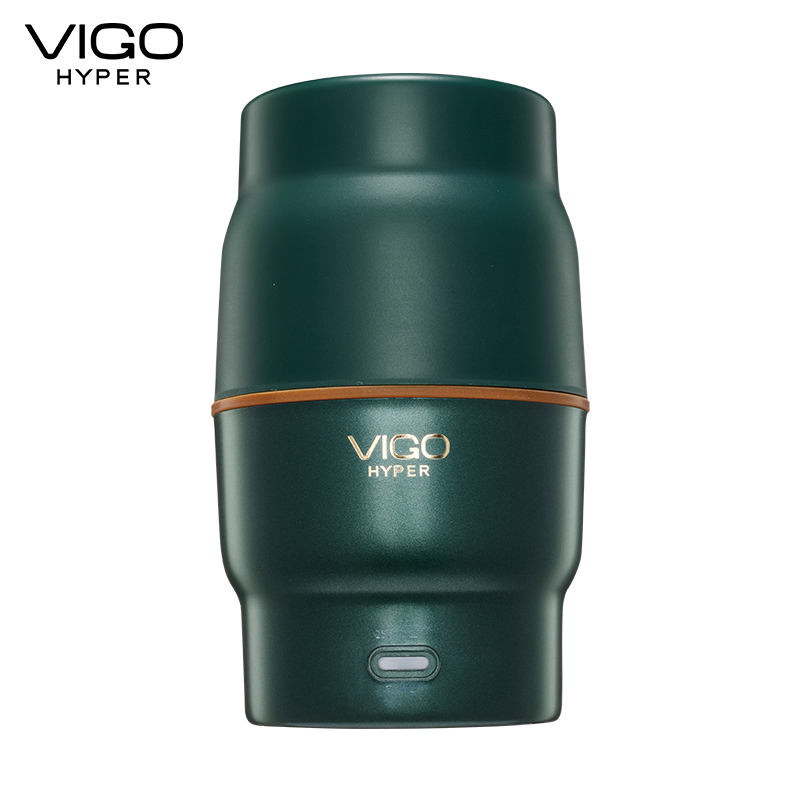 魅果（vigo）养生壶办公室便携小型煮茶器家用多功能mini玻璃煮花茶壶