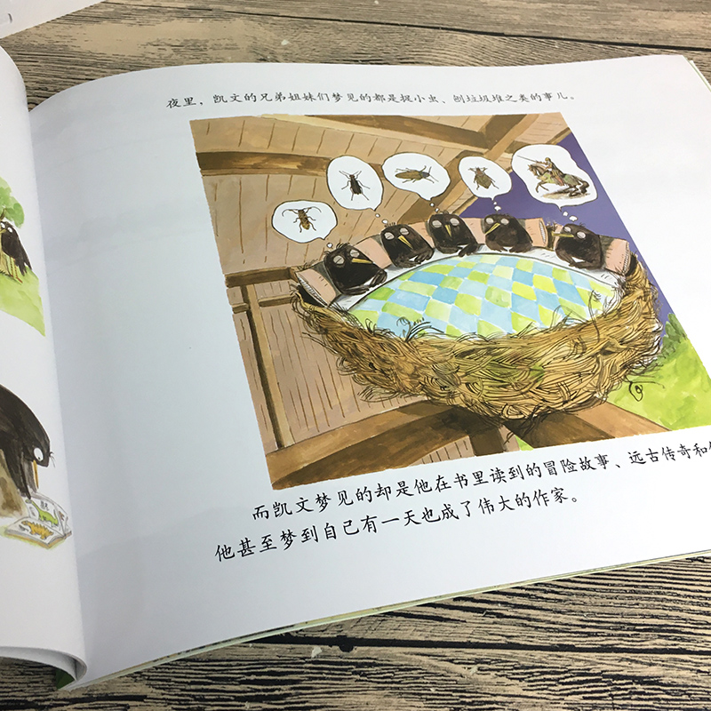 [正版]凯文不会飞 聪明豆绘本系列儿童绘本睡前故事书幼儿早教阅读启蒙成长书籍幼儿园小中大班亲子阅读cm高清大图