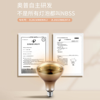 奥普(AUPU)浴霸HB5017A壁挂式浴霸 挂壁式挂墙式浴霸灯卫生间浴室灯泡风暖取暖器