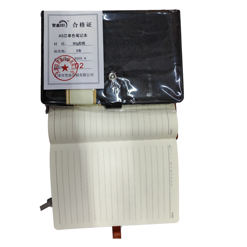 贺森HS 定制A5芯单色笔记本 A5 本高清大图
