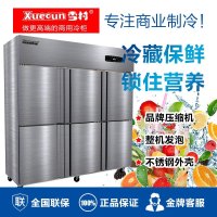 雪村(Xuecun) 商用冷柜 1250L 双温立式冰箱六门厨房柜 上冷冻柜 下保鲜冷藏柜 不锈钢 全铜管 冰柜