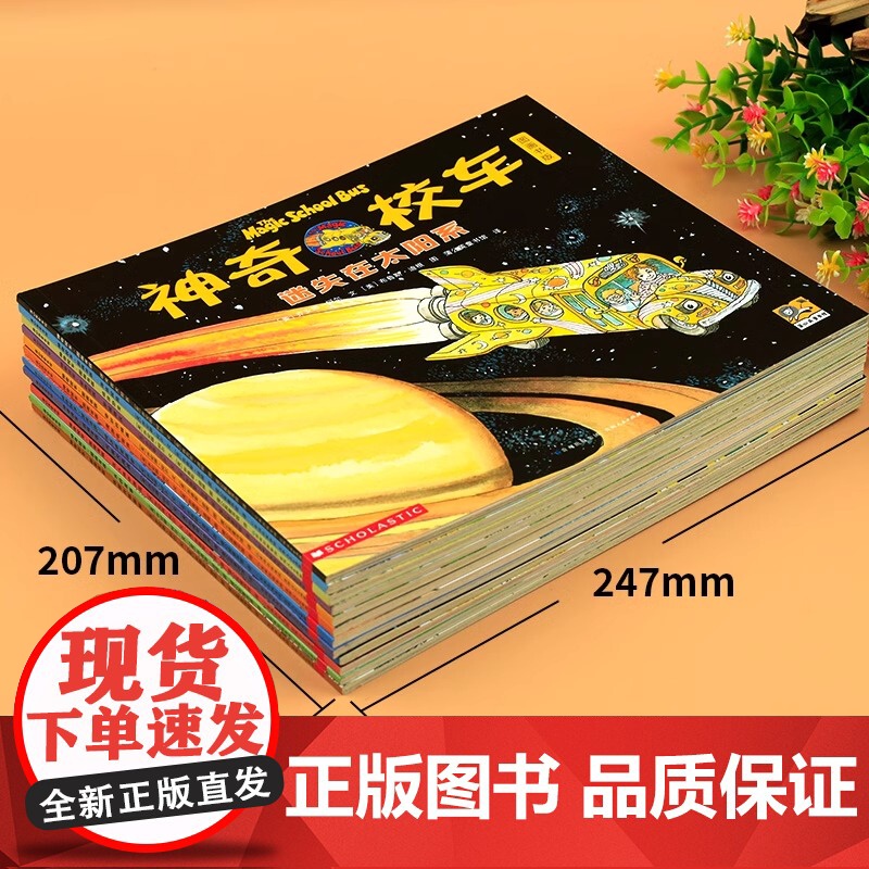 神奇的校车第一辑全套12册一年级注音版桥梁书阅读1-2年级二年级上下册通用人文体中游览水的故事探索人体贵州人民出版社正版高清大图