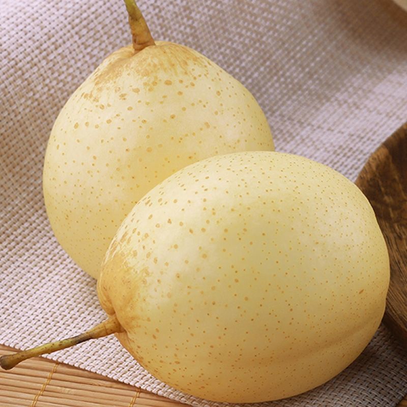 赛卡伊河北大鸭梨水晶梨10斤产地直发新鲜梨子水果批发雪梨皇冠梨