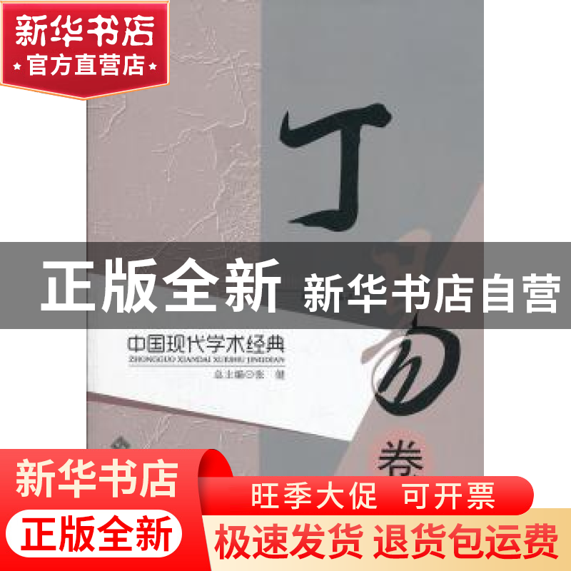 正版 中国现代学术经典:丁易卷 张健总主编 北京师范大学出版社 9