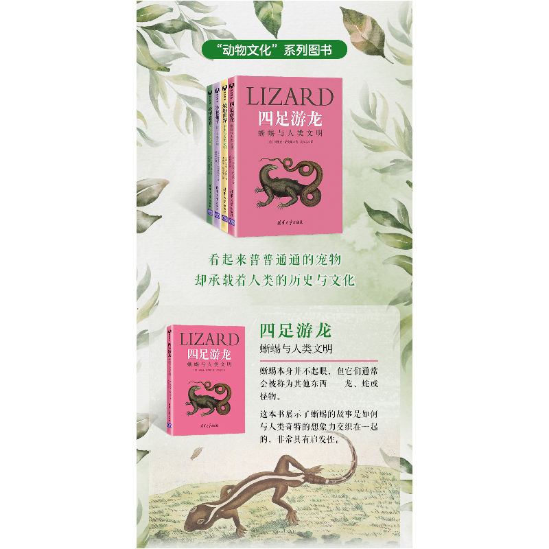 正版新书]冷艳捕手:蛇与人类文明[美]德雷克·斯图特斯曼 著 沈高清大图