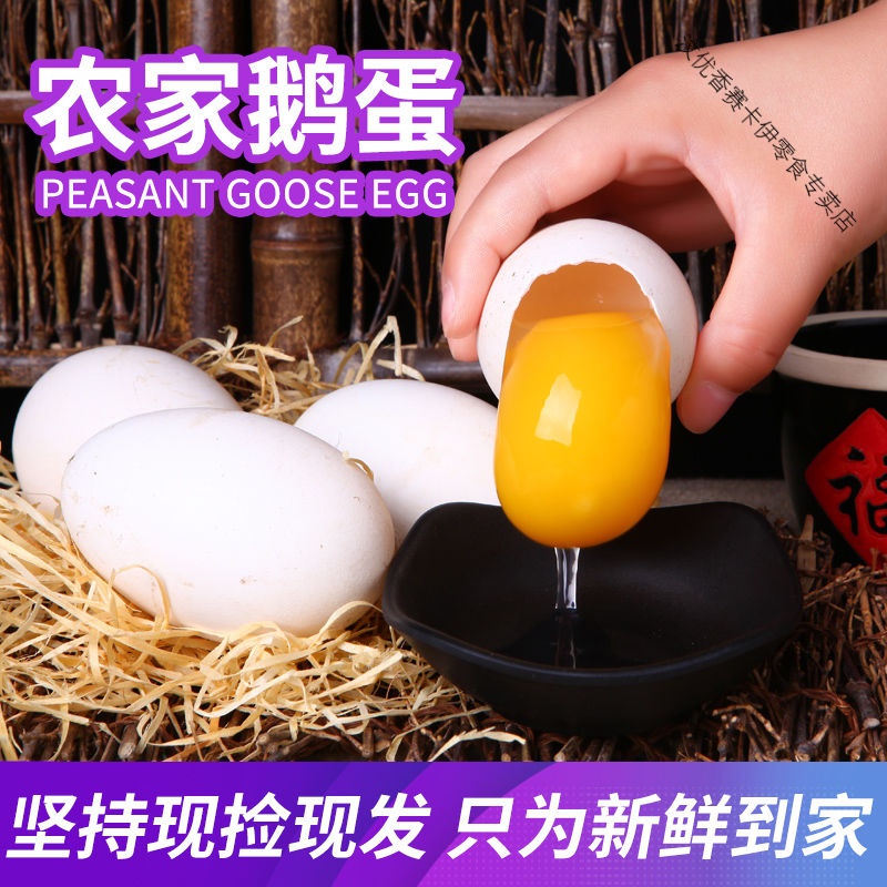 【破损包赔】大土鹅蛋新鲜批发宝宝正宗农家散养6枚现捡现发 100-120g/个 6 枚装高清大图
