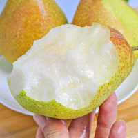 现摘红香酥梨8.5斤装大果 自营水果应季新鲜水果