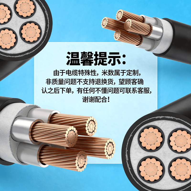 天鸿祥 电缆线铜芯铜线平方电缆中低压绝缘PVC工业家用电线国标 ZC-YJV2*4平1米2芯高清大图