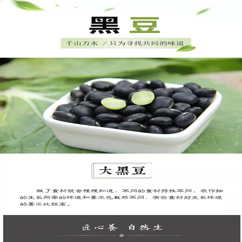 鲁强石磨源 黑豆 500克 五谷杂粮 新黑豆 酥田袋装高清大图