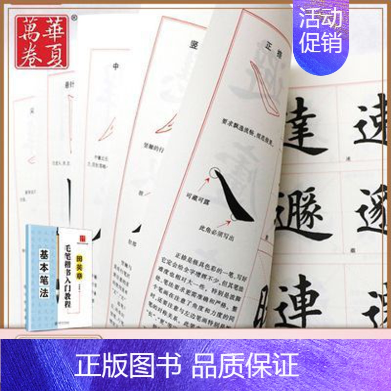 田英章毛笔楷书入门教程《基本笔法》 [正版]《田英章毛笔字帖合集》行书入门教程三本毛笔字帖楷书四本套2500字专业版简体高清大图