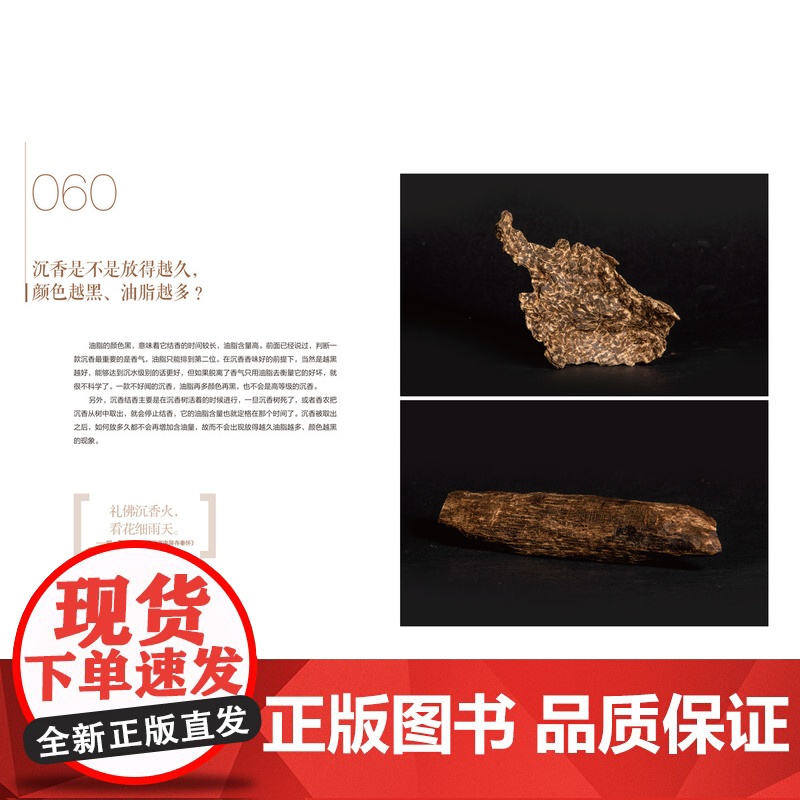 沉香文化·百问解答 周麟 著 浸润沉香世界20年的经验总结 读懂沉香100问 就读懂了沉香 上海译文出版社 正版高清大图