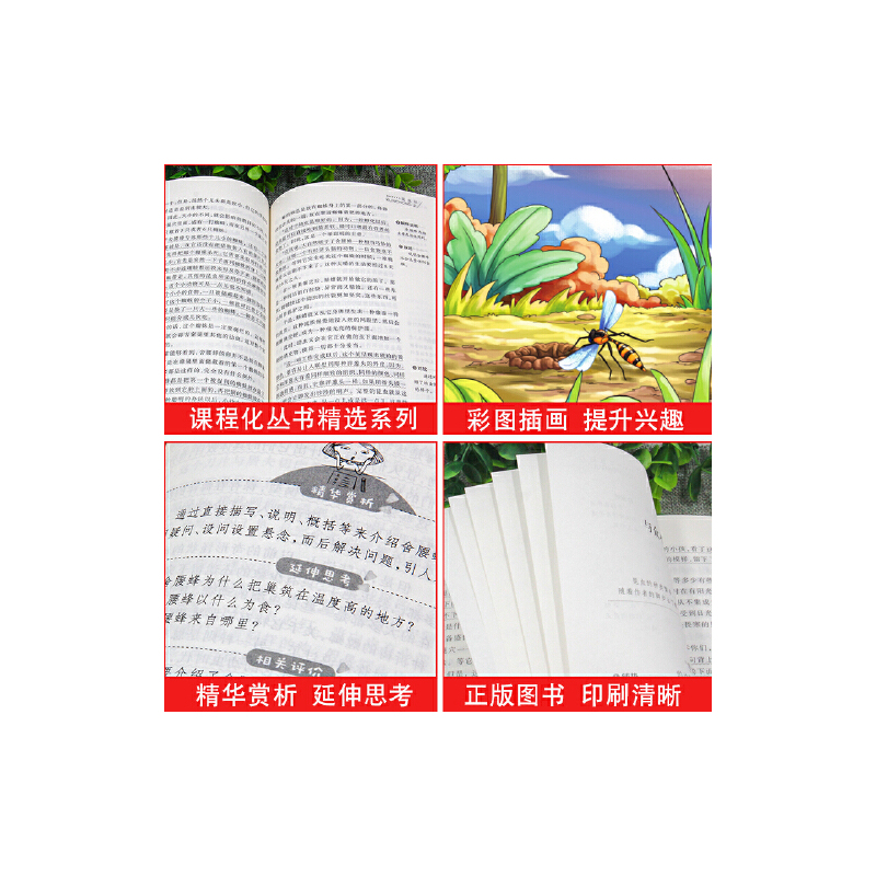 假如给我三天光明 [正版] 假如给我三天光明小学生版 海伦凯勒书原著青少年版 五年级四年级六年级课外阅读书籍三年级完整版