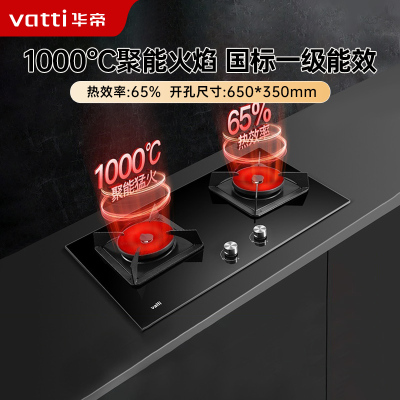 华帝（VATTI）燃气灶台嵌两用式双灶具1000℃高温聚能猛火炉灶天然气 i10086B （液化气咨询客服）