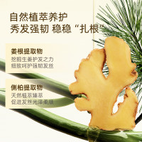 菲诗蔻FicceCode澳洲进口生姜洗发水300ml*2瓶 强韧健发无硅油控油保湿