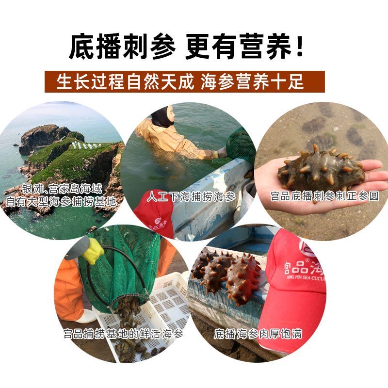 宫品 3A淡干海参250克40-50只中等个头家庭盒装国产生鲜