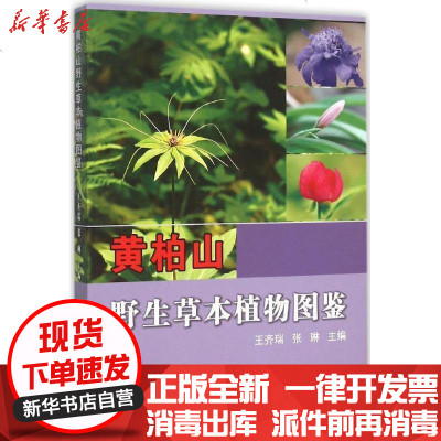 黄柏山野生草本植物图鉴 王齐瑞 张琳主编著 摘要书评在线阅读 苏宁易购图书