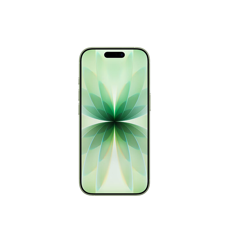 APPLE iPhone 17 256GB 鼠尾草绿色 支持移动联通电信5G 双卡双待智能手机高清大图