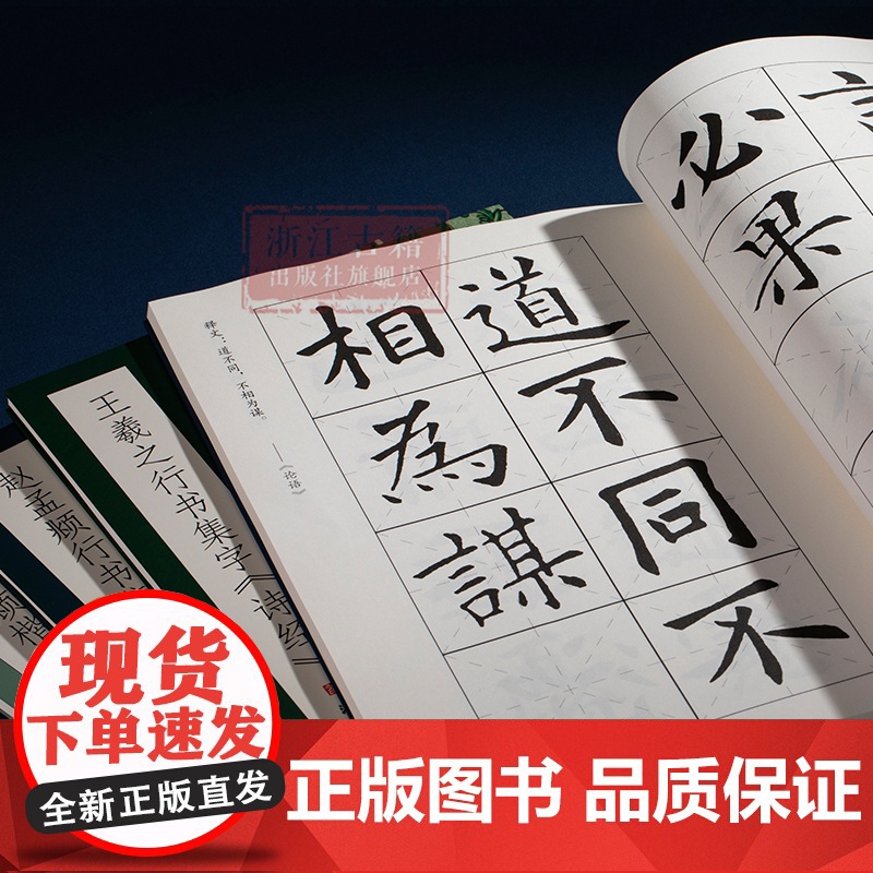 集字系列4本 赵孟頫楷书集字古诗/王羲之行书集字诗经/欧阳询楷书集字论语/赵孟頫行书集字唐宋词 毛笔书法字帖楷书行书集字高清大图