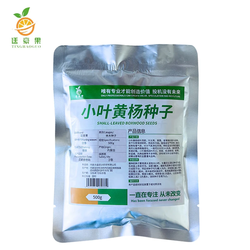 廷豪果 小叶黄杨种子 一级优质种子 500g/斤