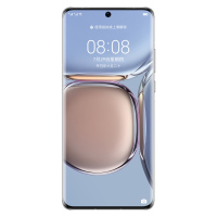 华为/HUAWEI P50 Pro 8GB+128GB 雪域白 搭载HarmonyOS2 支持66W快充 原色双影像单元 万象双环设计 移动联通电信全网通手机