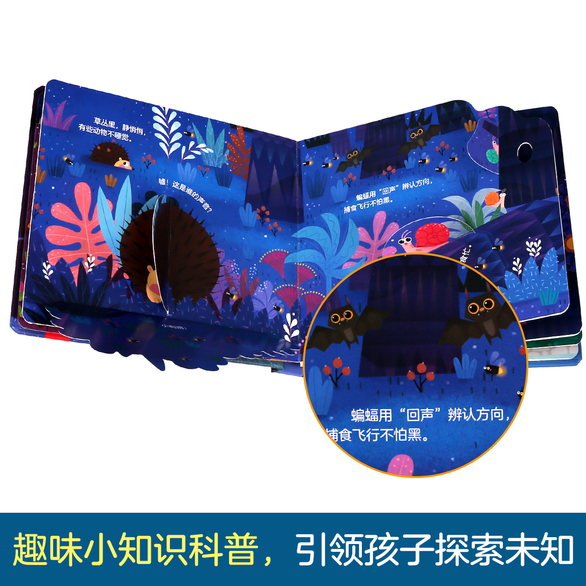 [醉染正版]揭秘小世界系列 夜晚 3d立体翻翻书低幼类幼儿0-1-3岁幼儿园早教绘本 硬壳精装图书女孩公主图书4岁儿童书高清大图
