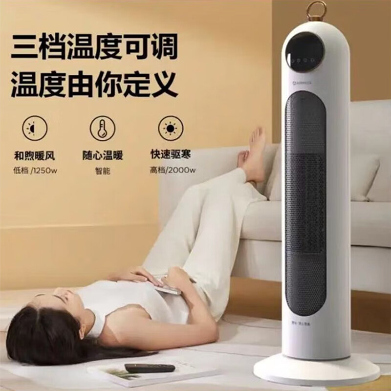 艾美特暖风机快速升温居浴两用可定时立式摇头HP20-R6高清大图