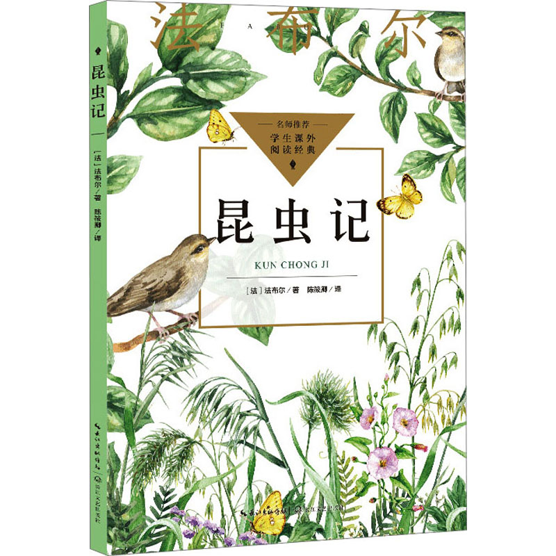 [M]昆虫记-9787570228508高清大图
