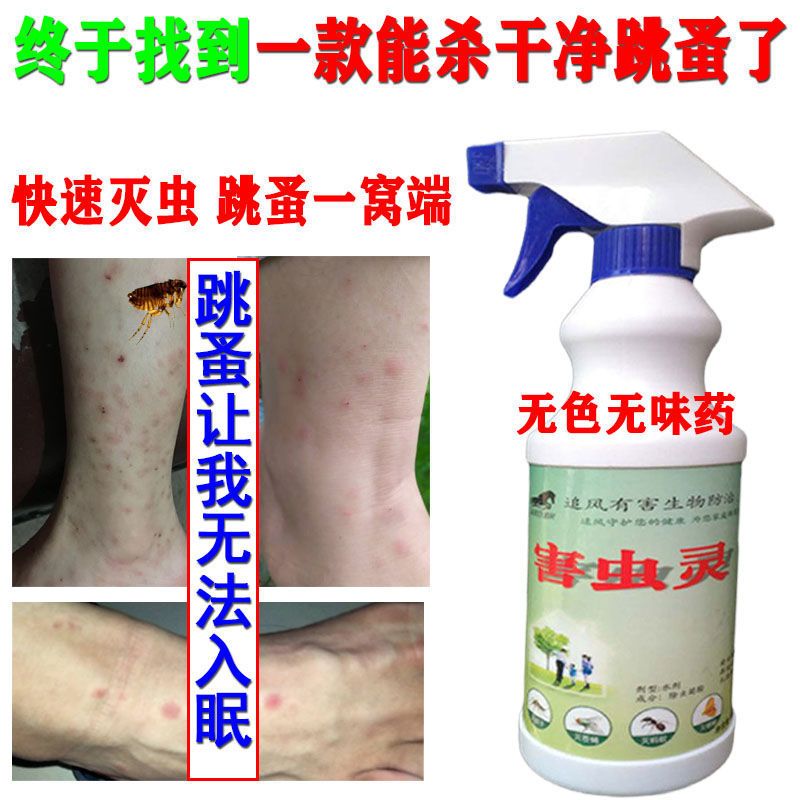 家用灭吸血跳蚤克星蜘蛛除蟑螂虫卵室内书虱床上虱子净喷雾杀虫剂