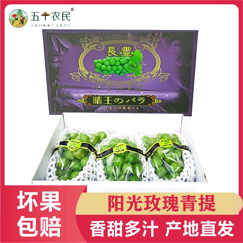 [五个农民]云南阳光玫瑰日本晴王无籽葡萄4斤礼盒装特级果应季新鲜水果顺丰空运