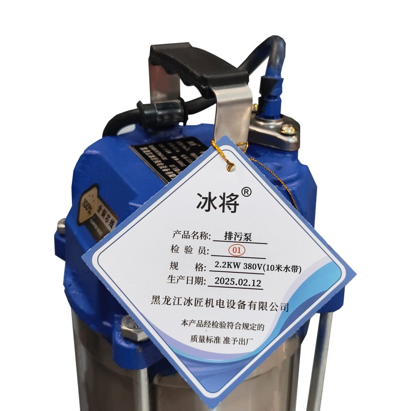 冰将 380V无堵塞不锈钢泥浆排污泵 台 2.2KW380V(10米水带)