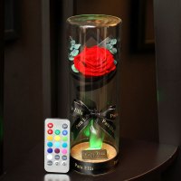 Para Ella 010系列彩灯许愿瓶红色玫瑰花永生花礼盒鲜花速递女神节创意礼物情人节礼物生日结婚纪念日礼物送女生女友