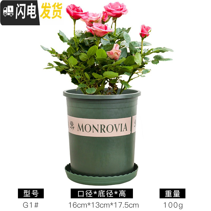 三维工匠塑料矮胖加仑花盆绿萝月季花多肉育苗盆清仓特价加厚小加仑盆 高加仑1号含托盘5个装【满十送一】 大_7